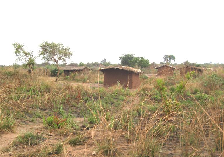 UNCCD Sa mạc hóa có hiệu ứng toàn cầu
